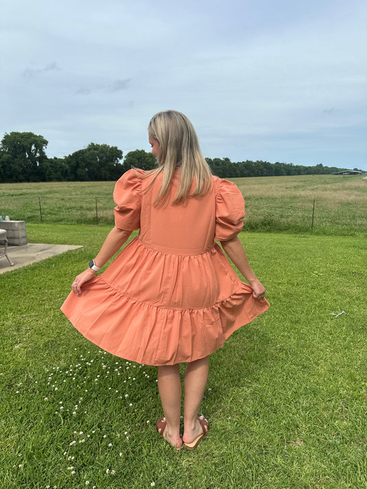 Solid V Neck Puff Sleeve Mini Dress