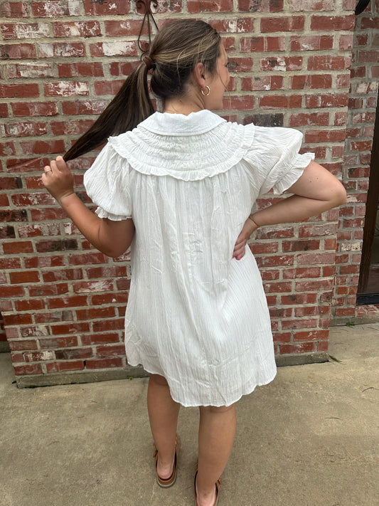 Smocked Ruffle Mini Dress