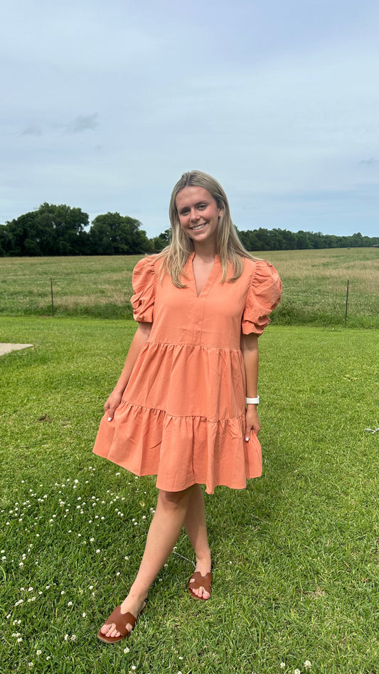 Solid V Neck Puff Sleeve Mini Dress