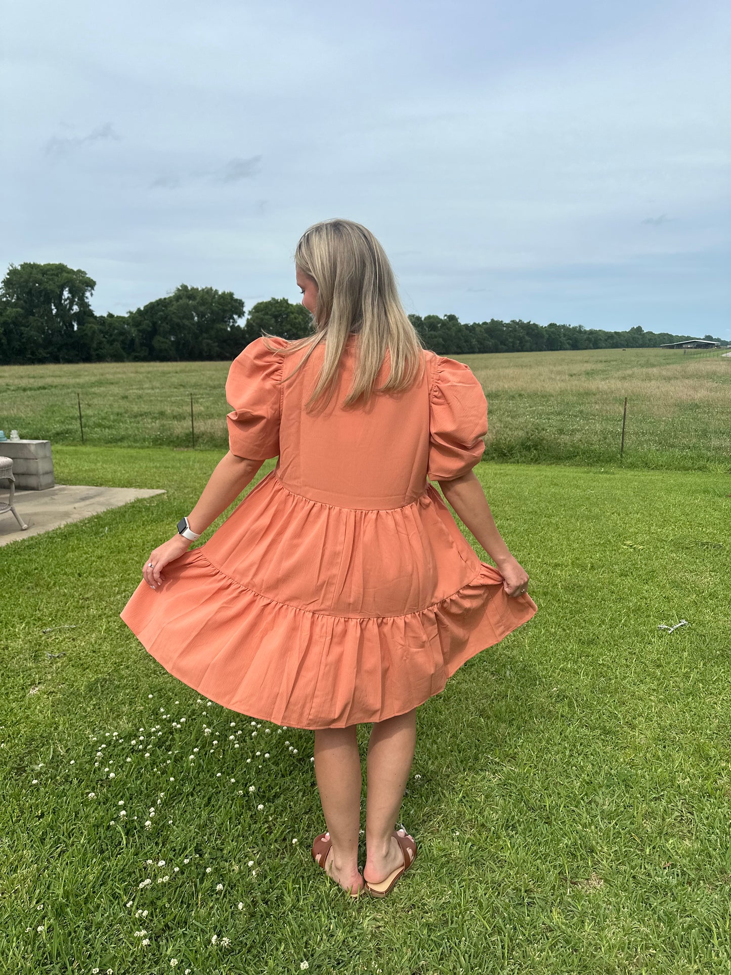 Solid V Neck Puff Sleeve Mini Dress